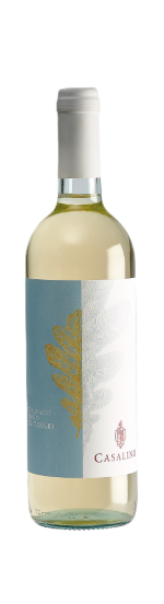 pinot grigio casalino bonacchi elenco